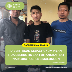 Diberitakan Kebal Hukum Piyan Tidak Berkutik Saat Ditangkap Sat Narkoba Polres Simalungun