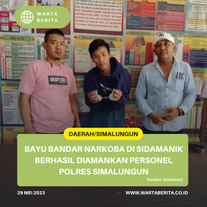 Bayu Bandar Narkoba Di Sidamanik Berhasil Diamankan Personel Polres Simalungun