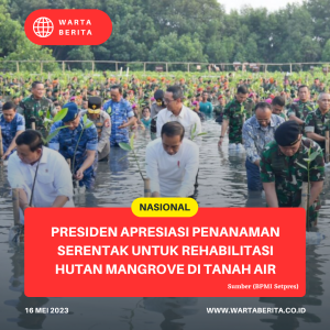 Presiden Apresiasi Penanaman Serentak Untuk Rehabilitasi Hutan Mangrove Di Tanah Air