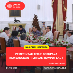 Pemerintah Terus Berupaya Kembangkan Hilirisasi Rumput Laut