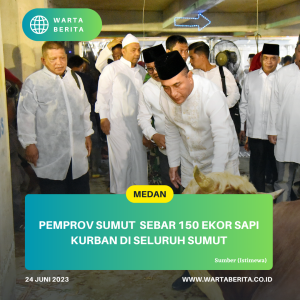 Pemprov Sumut  Sebar 150 Ekor Sapi Kurban di Seluruh Sumut
