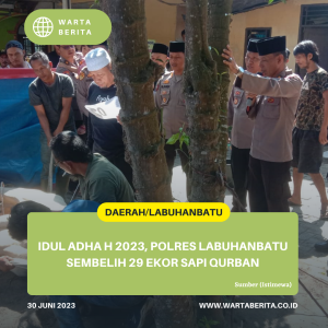 Idul Adha H 2023, Polres Labuhanbatu Sembelih 29 Ekor Sapi Qurban