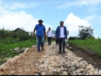 Bupati Pantau Proyek Pembangunan Jalan di Pollung dan Perbatasan Kabupaten Samosir