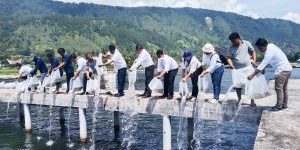DKP Provsu bersama Dinas Ketapang dan Pertanian Samosir Tebar 30.000 Ekor Benih Ikan Nila