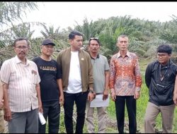 DPRD Asahan Desak Evaluasi Penguasaan Lahan PT Padasa Enam Utama