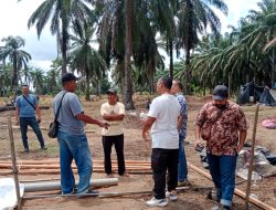 Kepala Desa Padang Sari Diduga Jadi Penggerak Penguasaan Lahan HGU PT BSP Kisaran