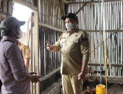 Bupati Pakpak Bharat Tinjau Peternakan Ayam Kampung BUMDes Siempat Rube II