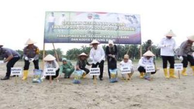 PT BSP–TNI Perkuat Ketahanan Pangan Melalui Penanaman Padi Gogo