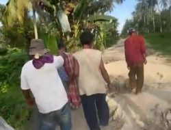 Seorang Ibu Baru Melahirkan di Asahan Harus Ditandu Dua Kilometer Akibat Jalan Rusak Parah