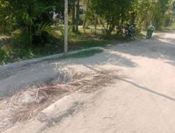 Puluhan Tahun Jalan Desa Tak Tersentuh, Warga Bagan Asahan Menjerit