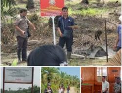 Vonis 10 Tahun dan Denda Rp856,8 Miliar, Terpidana Kasus Mangrove Belum Dieksekusi