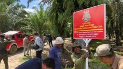 Vonis Ada, Eksekusi Nihil: Terpidana Kasus Mangrove Langkat Diduga Masih Kuasai Lahan Sitaan Negara