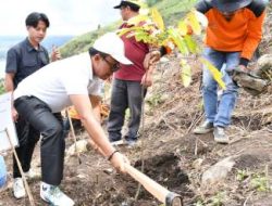 Wabup Samosir Tanam Pohon di Lereng Pusuk Buhit