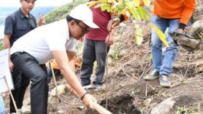 Wabup Samosir Tanam Pohon di Lereng Pusuk Buhit