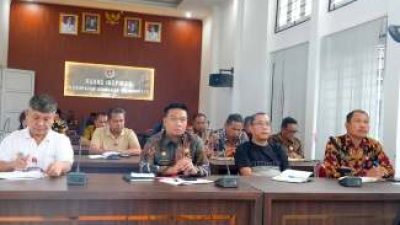 Bupati Oloan Nababan Laporkan Pemulihan Pascabencana ke Mendagri Tito Karnavian