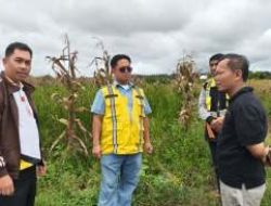 Pemkab Humbahas dan Pemprov Sumut Tinjau Rencana Peningkatan Irigasi Aek Sibundong