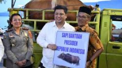 Pemkab Samosir Serahkan Hewan Kurban, Vandiko Gultom Tegaskan Semangat Toleransi