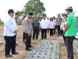 Kapolda Sumut Tinjau Pengembangan Bawang Putih di Samosir, Dorong Swasembada Pangan Nasional