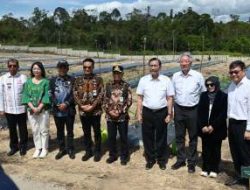 Pemkab Humbahas Perkuat Dukungan bagi Investasi TSTH2