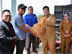 Pemkab Samosir Perkuat Ketahanan Pangan, Petani Terima 5 Ton Bibit Kentang