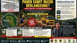 Pasca-Plang Satgas PKH, Panen Sawit Masih Berlangsung? Status Lahan PHS 1.757 Hektare Dipertanyakan