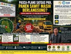 Pasca-Plang Satgas PKH, Panen Sawit Masih Berlangsung? Status Lahan PHS 1.757 Hektare Dipertanyakan