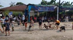 Demokrat Asahan Semarakkan Kemerdekaan Lewat Lomba Rakyat