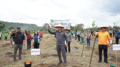 Dorong Kesejahteraan Petani, Pemkab Taput Gerakkan Penanaman 2,2 Juta Batang Kopi Arabika