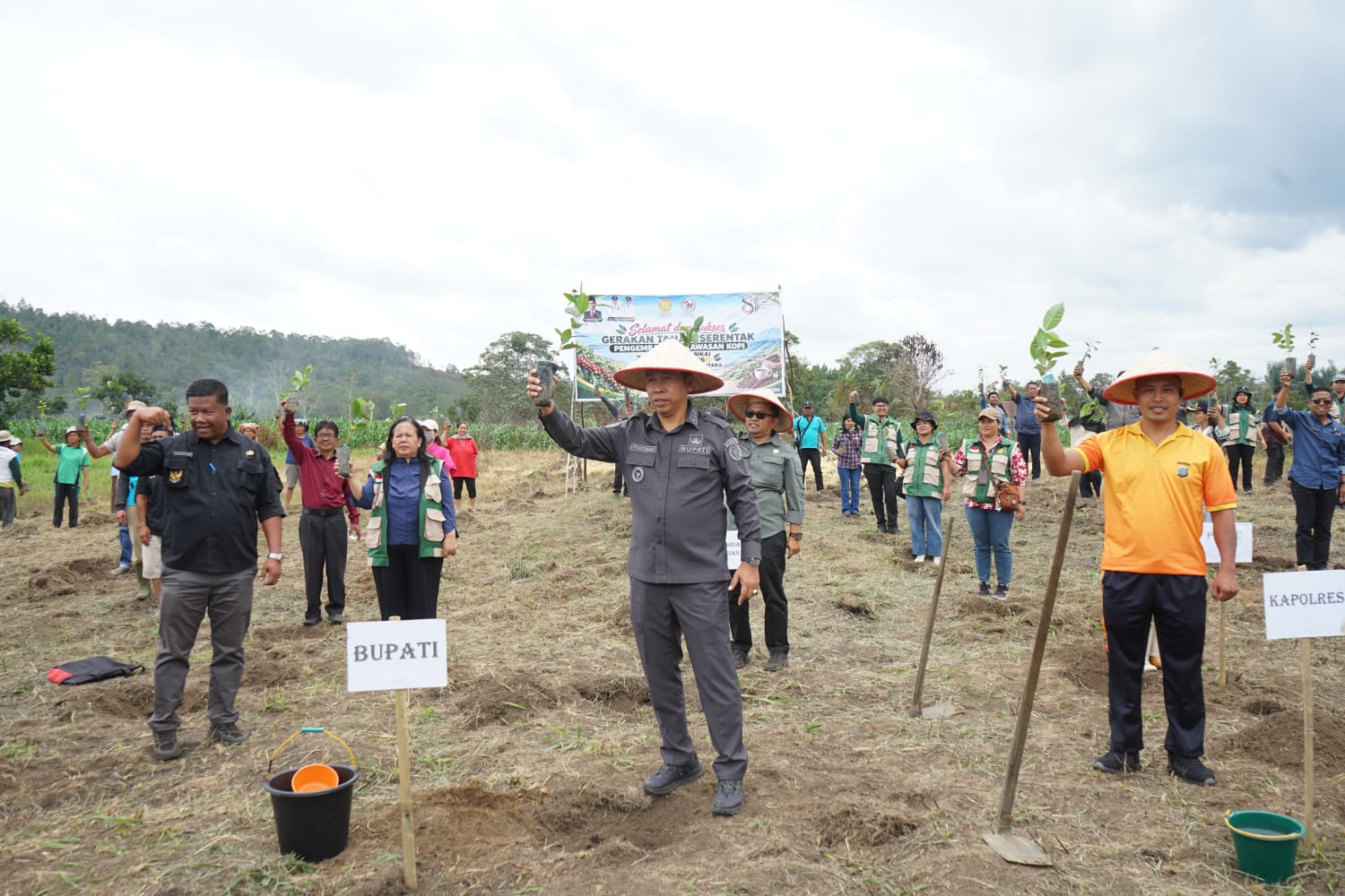 Dorong Kesejahteraan Petani, Pemkab Taput Gerakkan Penanaman 2,2 Juta Batang Kopi Arabika